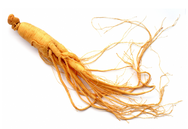 Red Ginseng Extract